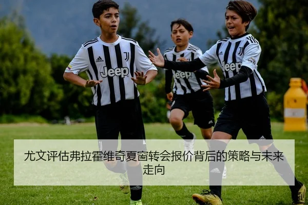 尤文评估弗拉霍维奇夏窗转会报价背后的策略与未来走向
